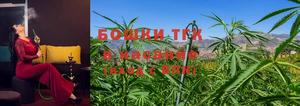 спиды Аркадак